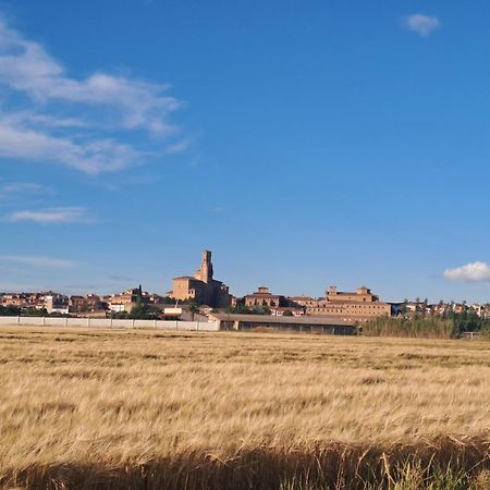Apto Rural Alesves Esencia De Bardenas Navarra Villafranca Extérieur photo
